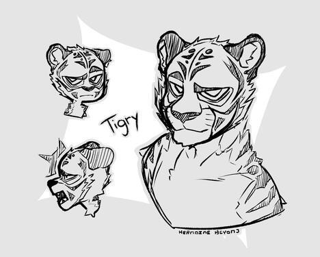 Tigry Tigry