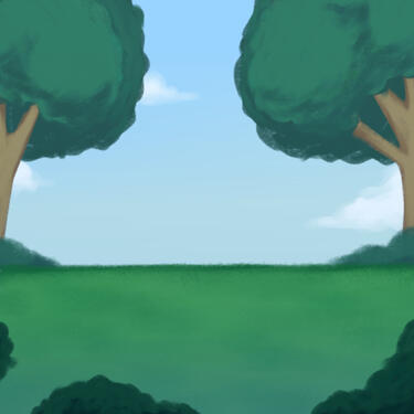 Forest Forest